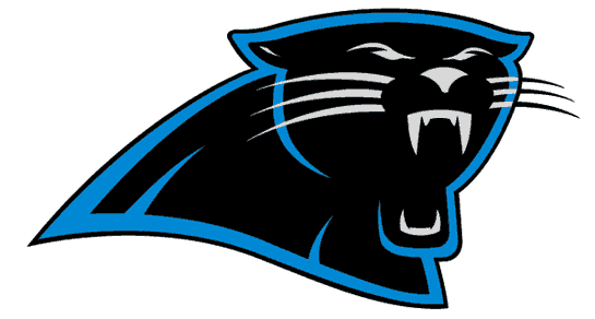 Carolina Panthers 1995-2011 Primary Logo t shirt iron on transfers